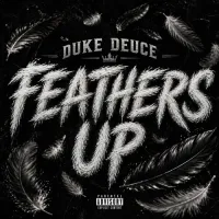 Feathers Up