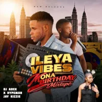 Ileya Vibes Mona Birthday (Mixtape)