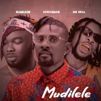 Mudilele (Remix)