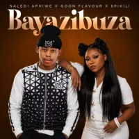 Bayazibuza