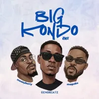 Big Kondo (Remix)