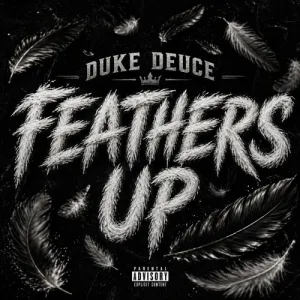 Feathers Up