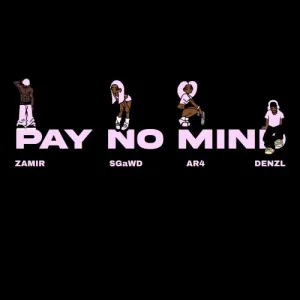 Pay No Mind