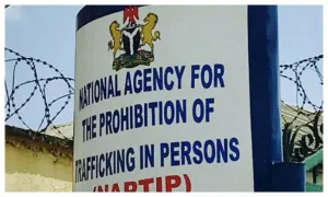 Human trafficking: We’ve received not less than 100 victims, 70 suspects – Ogun NAPTIP
